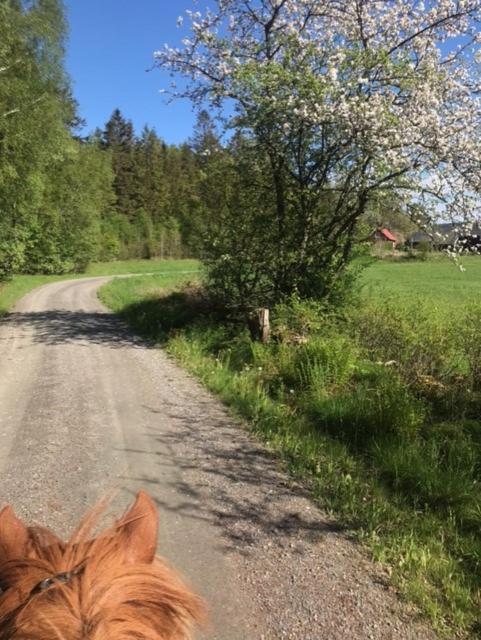 Stenlid - Med Naturen Och Lugnet I Fokus Veddige Екстер'єр фото